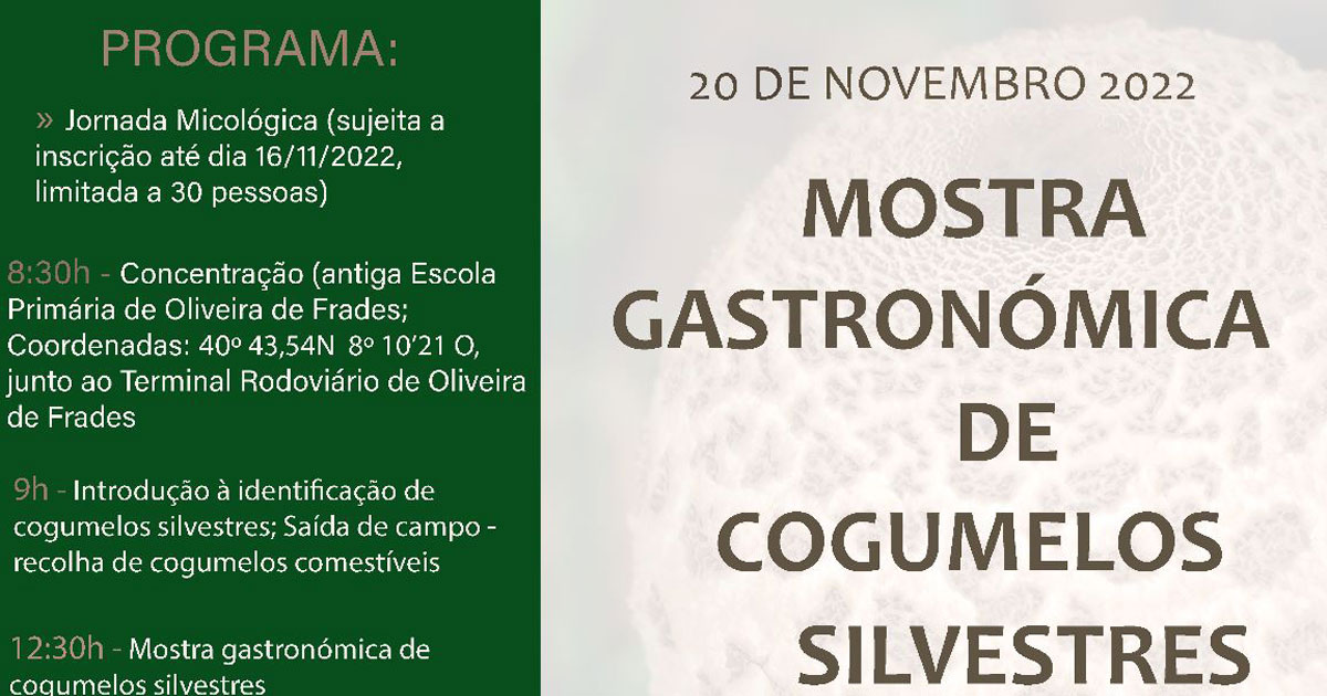 Read more about the article Mostra Gastronómica de Cogumelos Silvestres