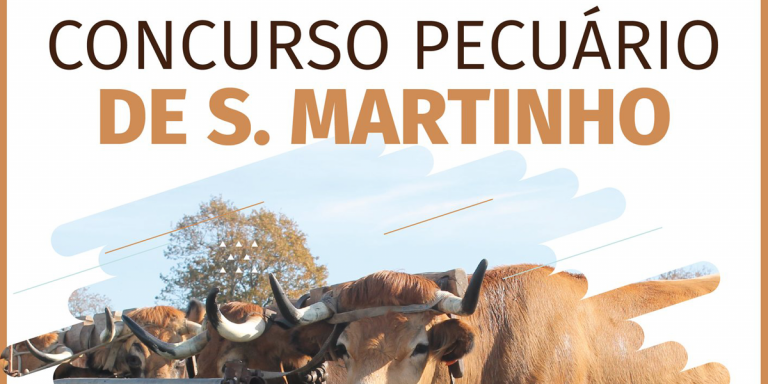 Read more about the article CONCURSO PECUÁRIO DE SÃO MARTINHO – 11/11 – Fornelo do Monte